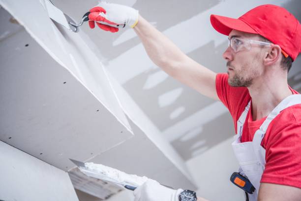 Best Fire-Damaged Drywall Repair  in Thornville, OH